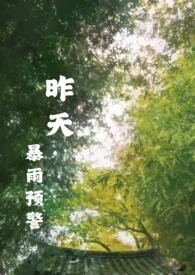昨天暴雨预警女主经历过什么