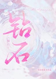 钻石番外