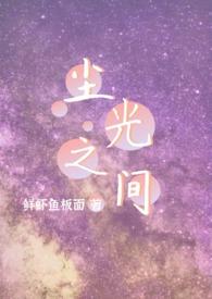 尘与光是什么意思