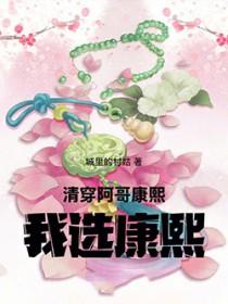 康熙和阿哥抢女主的清穿