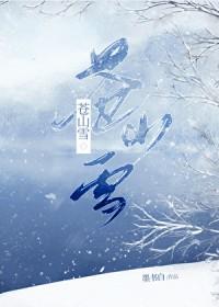 苍山雪电视剧