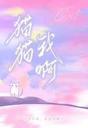 猫猫我啊剧透