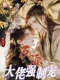 反派大佬宠文