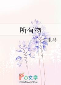 所有物是什么意思