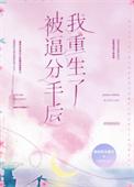 分手后我被前男友
