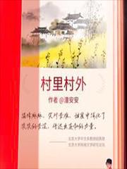 村里村外简介