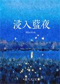浸入蓝夜番外