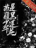 苗疆少年是黑莲花在哪看