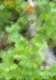 新芽照片