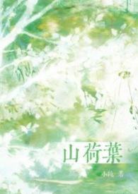 山荷叶和荷叶的区别是什么