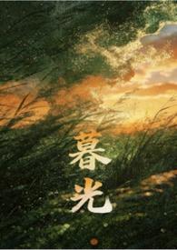 暮光百度百科