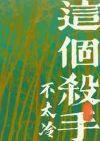 这个杀手不太冷原著叫什么