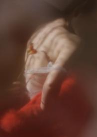 狐狐狸狸