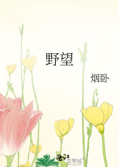 野望注音版