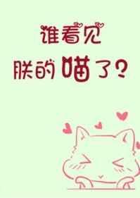 谁看见朕的喵了txt书包网
