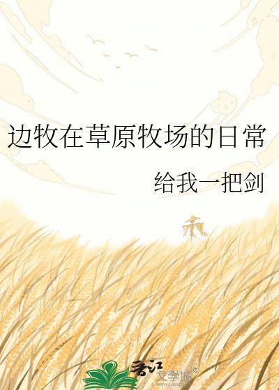 边牧 体验