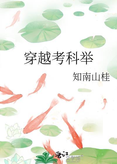 穿越考科举讲的什么