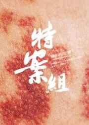 特殊案件调查组iii