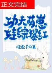 功夫宝宝功夫