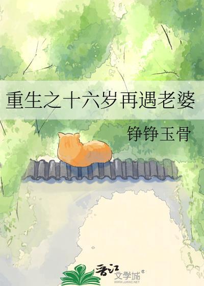 重生之十六岁再遇老婆晋江