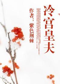 冷宫皇夫第二部叫什么名字