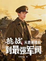 抗战德械师身怀绝技的电视剧