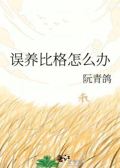 养比格家里太臭怎么办