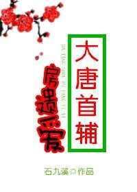 穿越大唐主角房遗爱