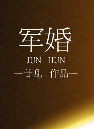 军婚言情推荐