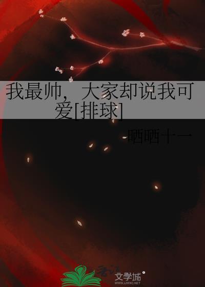 我最帅作者